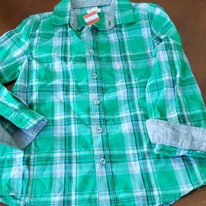 Button down dress shirt